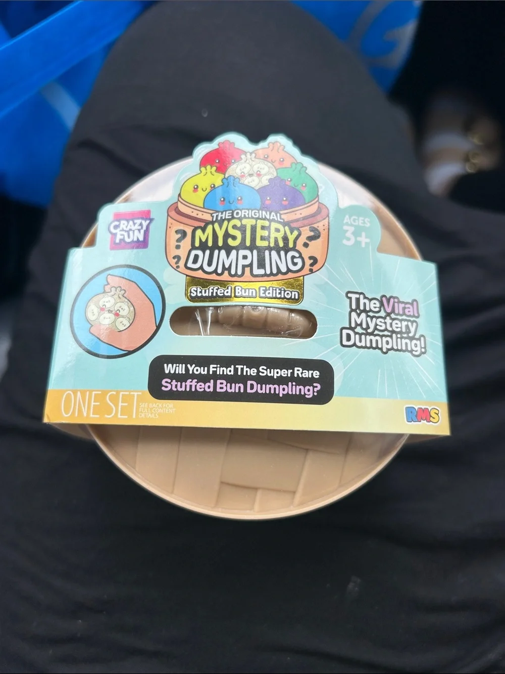 The Original Mystery Dumpling Stuffed Bun - Teal Packaging by Crazy Fun